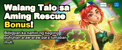 CC6 Online Casino Premium Experience